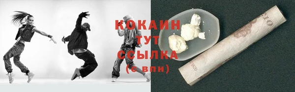 прущие грибы Горно-Алтайск