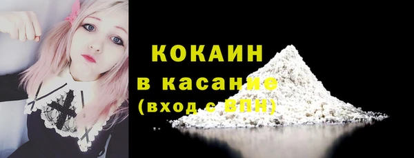 сатива Горнозаводск