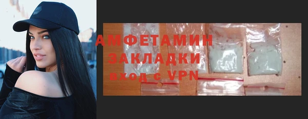 прущие грибы Горно-Алтайск