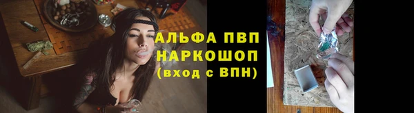 прущие грибы Горно-Алтайск