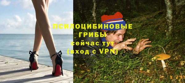 дживик Горняк