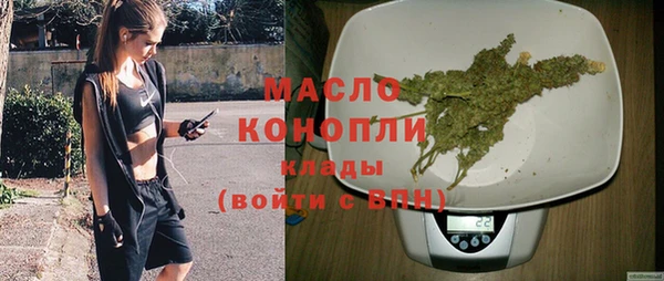 сатива Горнозаводск