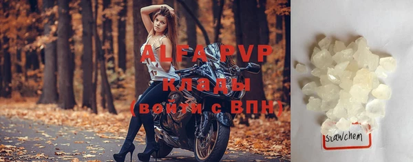 прущие грибы Горно-Алтайск