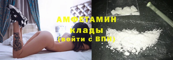 дживик Горняк