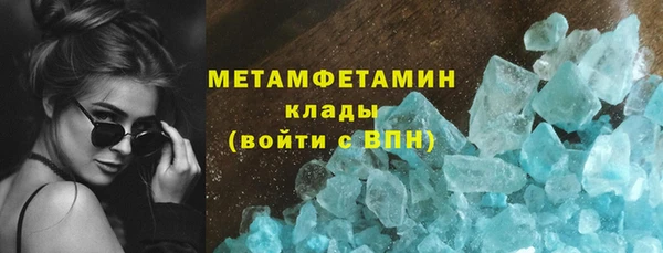 прущие грибы Горно-Алтайск