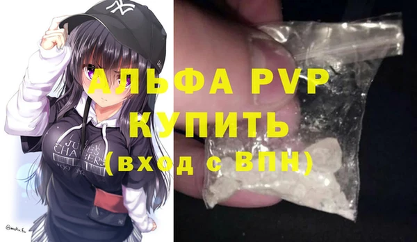 прущие грибы Горно-Алтайск
