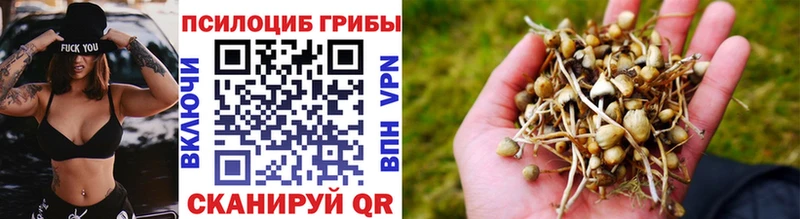 Галлюциногенные грибы мухоморы  Железноводск 
