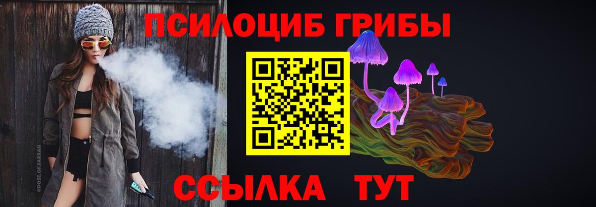 Железноводск  где можно купить   Вход с VPN  Псилоцибиновые грибы мицелий  Псилоцибиновые грибы Psilocybe 